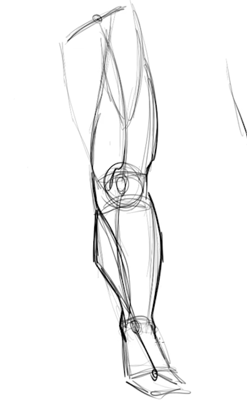 How to draw legs [Step by step tutorial]