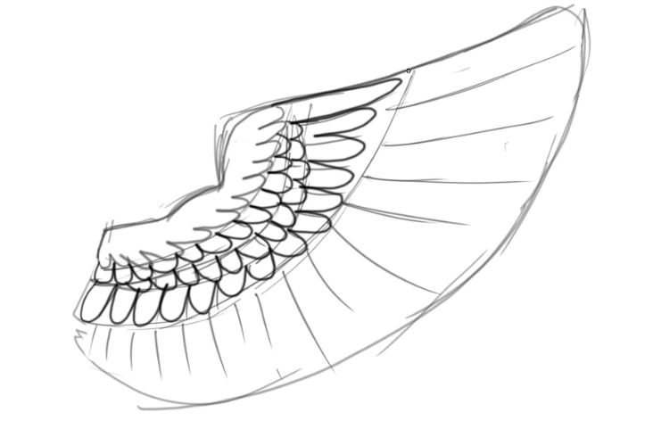 How to draw Angel Wings [Step by Step tutorial]