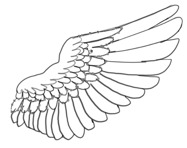 How to draw Angel Wings [Step by Step tutorial]