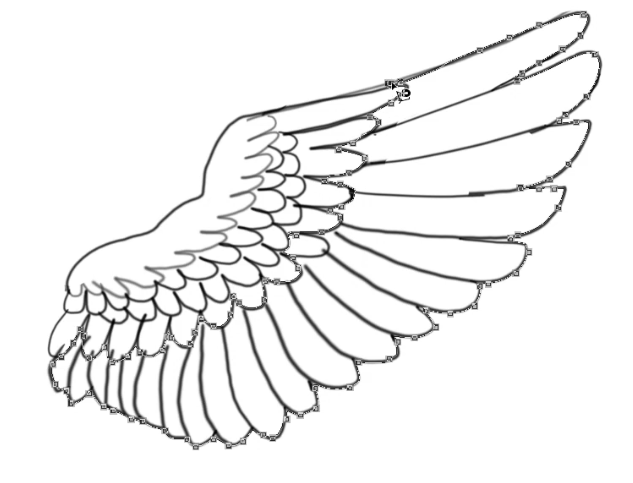 How to draw Angel Wings [Step by Step tutorial]